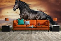 Tapeta Kôň ZR 0062