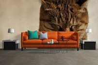 Tapeta Mačka - ZR 0070