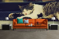 Tapeta Mačka - ZR 0071