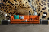 Tapeta Leopard - ZR 0073