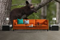 Tapeta Medvedík - ZR 0077