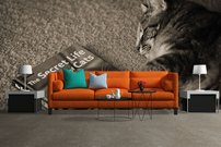 Tapeta Mačka - ZR 0078