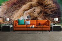 Tapeta Lev - ZR 0079