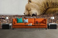 Tapeta Biely medveď - ZR 0080