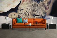 Tapeta Mačiatka - ZR 0085