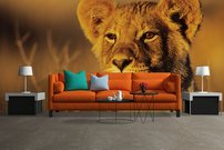 Tapeta Levíča - ZR 0087