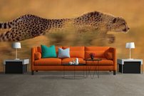 Tapeta Gepard - ZR 0088