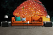 Tapeta Ryba - ZR 0089