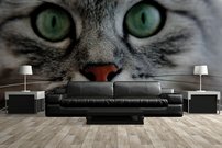 Tapeta Mačka - ZR 0091