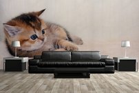 Tapeta Mačiatko - ZR 0092