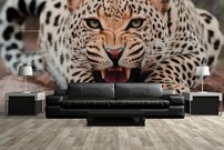Tapeta Leopard - ZR 0094