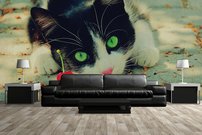 Tapeta Mačka - ZR 0096