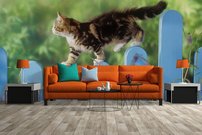 Tapeta Mačiatko - ZR 0098