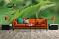 Tapeta Jašter - ZR 0100