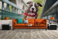 Tapeta Psík - ZR 0104