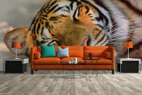 Tapeta Tiger - ZR 0105