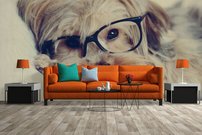 Tapeta Psík - ZR 0106