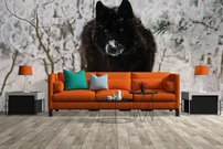 Tapeta Vlk - ZR 0107