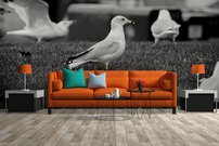 Tapeta Čajky - ZR 0108