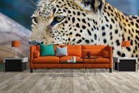 Tapeta Jaguár - ZR 0109