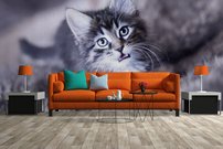 Tapeta Mačiatko - ZR 0110