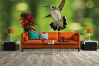 Tapeta Vtáčik - ZR 0111