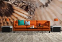 Tapeta Sova - ZR 0112