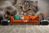 Tapeta Mačka - ZR 0114