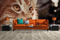 Tapeta Mačka - ZR 0116