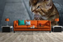 Tapeta Kocúr - ZR 0119