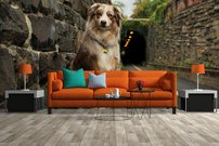 Tapeta Psík - ZR 0120