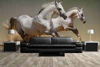 Tapeta Biele kone - ZR 0127