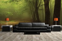 Tapeta Les - PK 0128