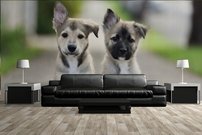 Tapeta Šteniatka - ZR 0129