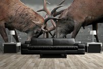 Tapeta Jelene - ZR 0132