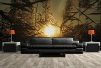 Tapeta Tráva - PK 0133