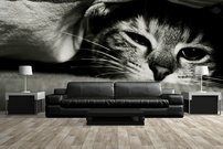 Tapeta Mačka - ZR 0134