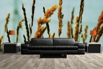 Tapeta Tráva - PK 0135