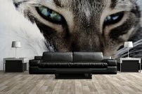 Tapeta Kocúr - ZR 0136