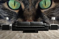 Tapeta Kocúr - ZR 0137