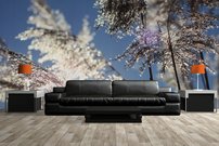 Tapeta Tráva - PK 0139