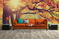 Tapeta Jeseň - PK 0167