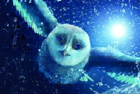 Tapeta Sova - AN 0108