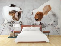 fototapeta na stenu pes a macka jedia jedlo 1