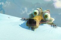 Tapeta Veverica - AN 0126