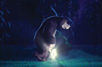 Tapeta Medveď - AN 0145