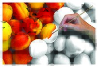 Tapeta Broskyne - JN 0073