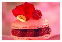 Tapeta Maliny - JN 0090