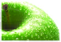 Tapeta Jablko - JN 0093