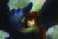 Tapeta Ako vycvičiť draka - AN 0098